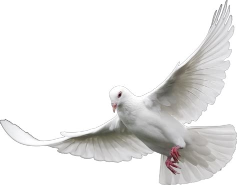 White Dove Omicron Rho Zeta Chapter