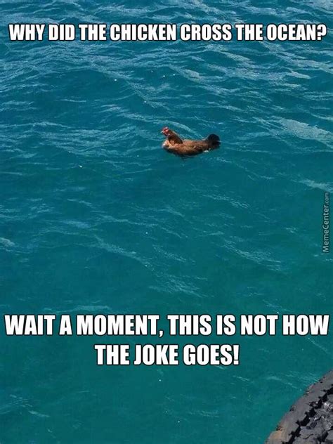 Image Result For Ocean Memes Funny Pictures Images Funny Pictures