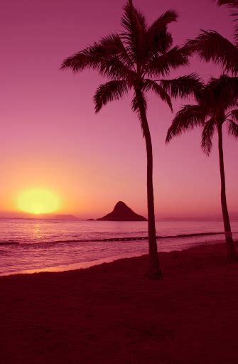 Tropical Island Sunrise Stock Photo Download Image Now Istock