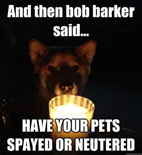10 Dogs Who Just Realized What Spayneuter Means