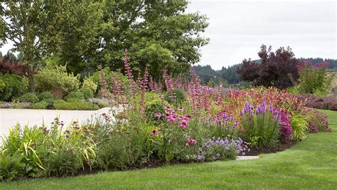 Modern Meadow A Fresh Take On Pollinator Garden Design