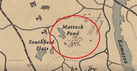 This page contains all the outfits sets, costumes & clothing in red dead redemption 2 (rdr2), complete with a showcase and image gallery. Red Dead Redemption 2: Legendary Fox - maps, tips - Red Dead Redemption 2 Guide | gamepressure.com
