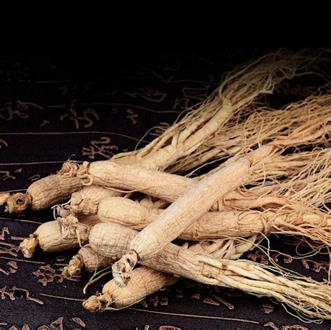 white ginseng roots whole root pieces white panax etsy