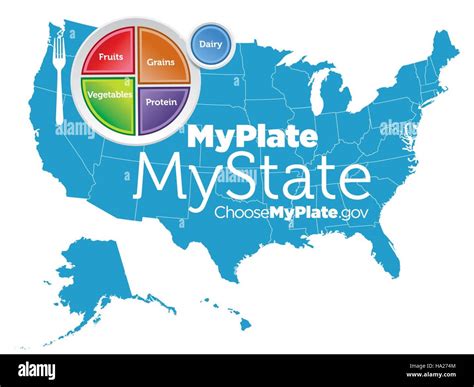 Myplate Cut Out Stock Images And Pictures Alamy