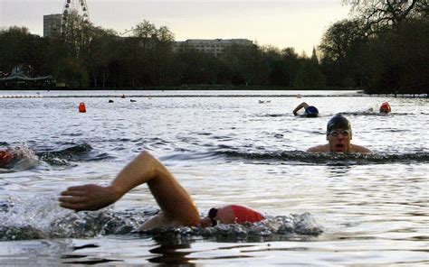 Why Wild Swimming In The Serpentine Is The Ultimate London Experience London Evening Standard