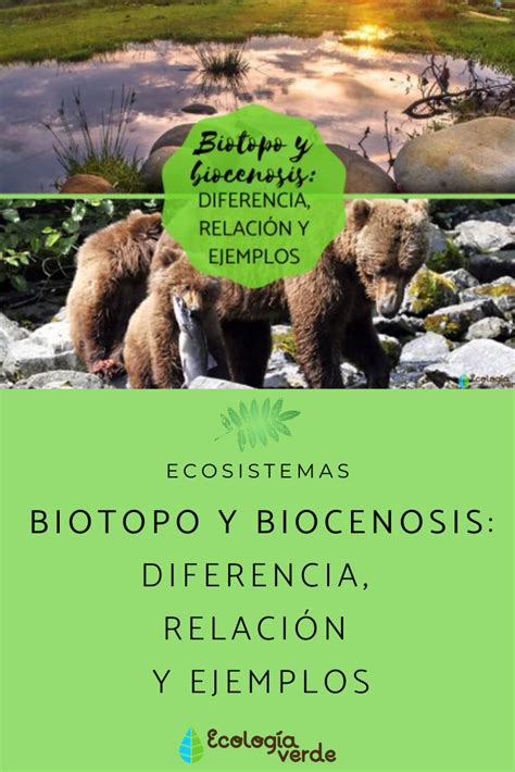 Biotopo Y Biocenosis Diferencia Relación Y Ejemplos Resumen Tipos