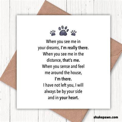 Sorry for the Loss of Your Pet when You See Me in Your - Etsy