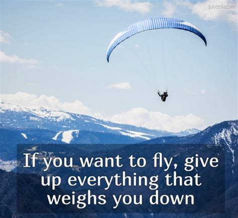 If You Want To Fly Give Up Everything That Weighs You Down Quotelia