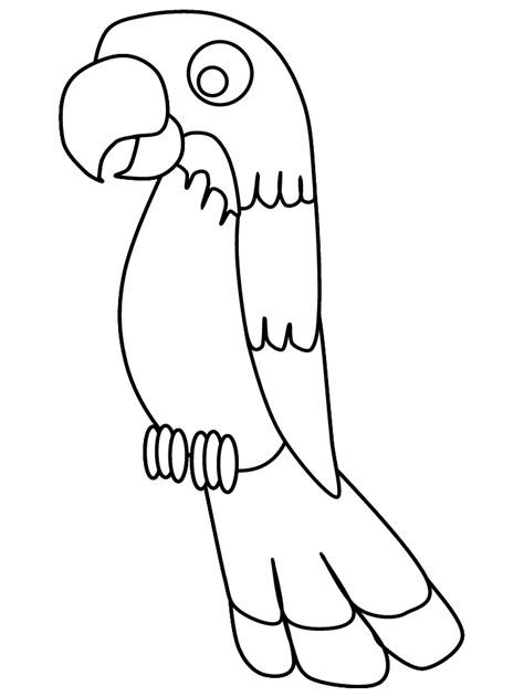 Free Cartoon Parrot Pictures Download Free Cartoon Parrot Pictures Png