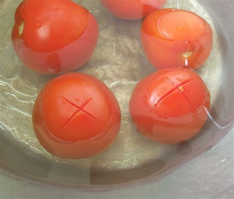 We did not find results for: COME SBUCCIARE I POMODORI PER IL SUGO. | Cucina con Mirko ...