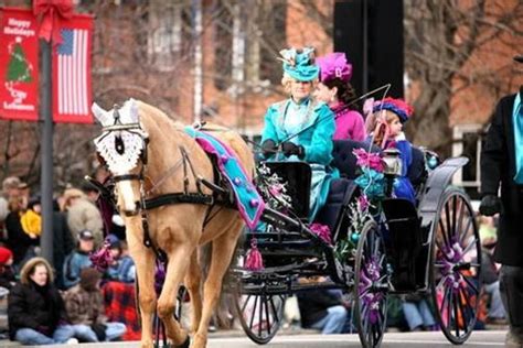 Two Seats In Horse Drawn Carriage Parade