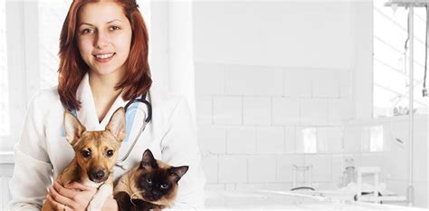 Keep in mind that getesa is the only web service that is hippa compliant. ESA Letter | Emotional Support Animal Doctor Letter | SCMC ...