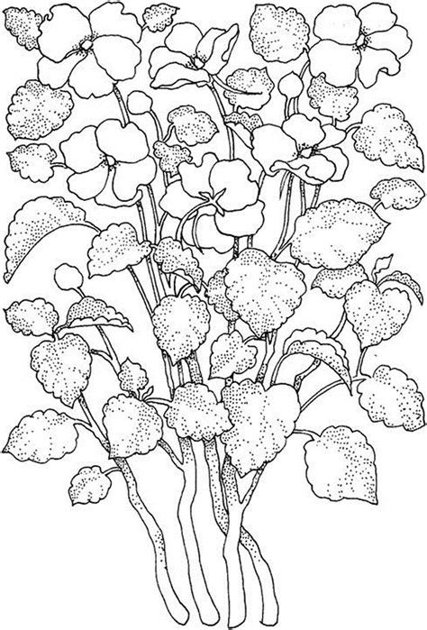 Flower Pictures To Color And Print Krokotak Print Printables For