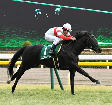 ダノンキングリー (danon kingly) は、日本の競走馬。主な勝ち鞍は2019年の毎日王冠（gii）、共同通信杯（giii）、2020年の中山記念（gii）。 馬名の意味は冠名＋王にふさわしい、王位に君臨することを願って。 皐月賞は「最も速い馬」ダノンキングリーに期待 | 極ウマ ...