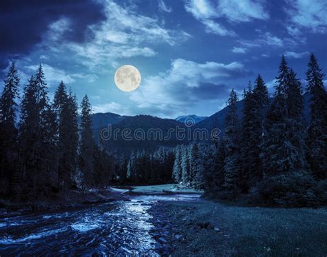 Mountain River In Pine Forest At Night Stock Photo Image Of Dark