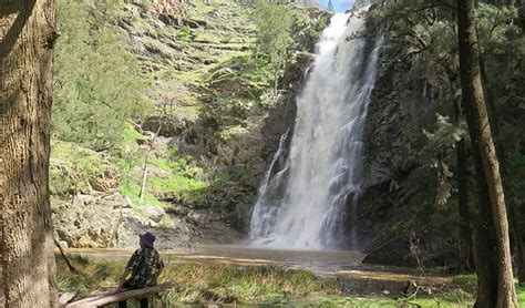 Grove Creek Falls Walking Track Nsw National Parks