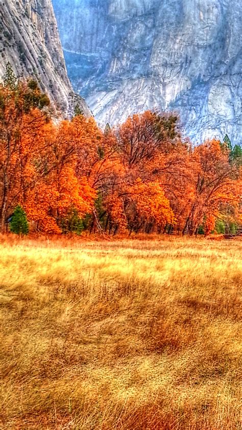 Autumn In Yosemite Free Stock Photo Public Domain Pictures