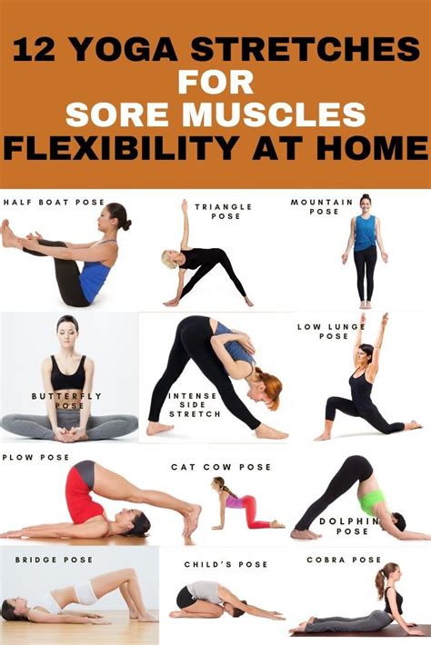 12 Yoga Stretches For Sore Muscles Flexibility At Home In 2020 Yoga