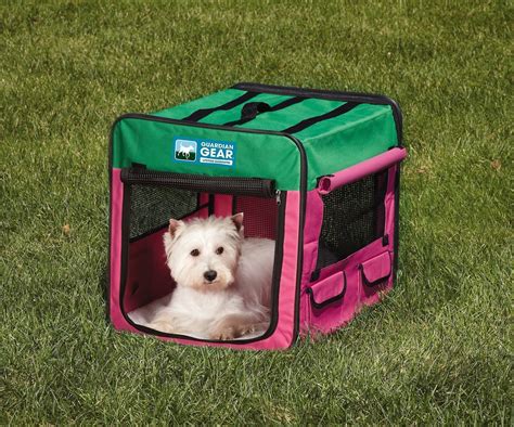 Guardian Gear Single Door Collapsible Soft Sided Dog Crate Pinkgreen