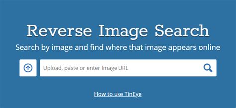 Reverse Image Search A Complete Guide