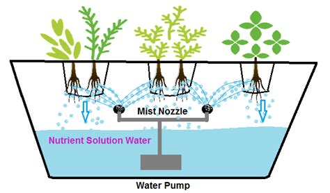 6 Type Of Best Diy Hydroponic Systems And Their Growing Media