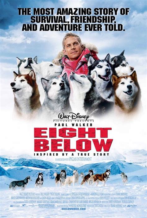 Davis mcclaren, the sled dog trainer jerry shepherd has to leave the polar base with his colleagues due to t. Eight Below (2006) 20140527 (With images) | Paul walker ...