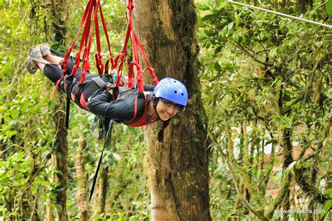 Los 3 Mejores Parques De Aventura De Monteverde Costa Rica Selvatura