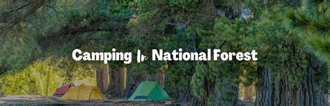 Camping In National Forests Your Ultimate Guide