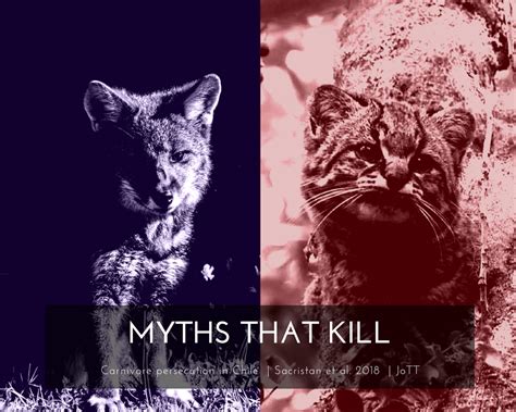 Human Carnivore Interaction In Chile Exploring Myths That Kill Jottings