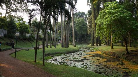 Jakpost guide to Jl. Barito - Guide To - The Jakarta Post