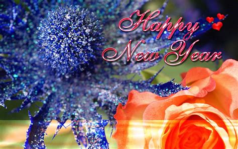Most Beautiful Happy New Year Wishes Greetings Cards Wallpapers 2013 014