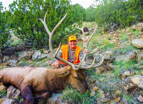 Colorado Trophy Elk Hunt