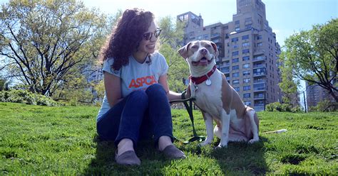 Social tees animal rescue is a notforprofit, strictly nokill 501c3 organization in the east village of nyc that takes abandoned animals from kill shelters and provides them with safe haven and veterinary. NYC | ASPCA