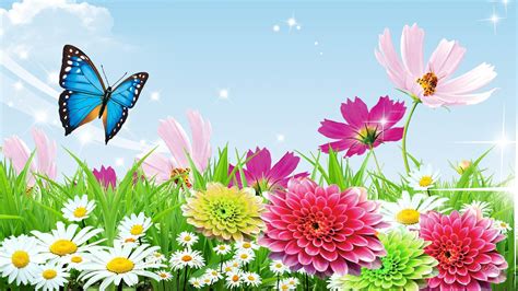 Spring Butterfly Wallpapers