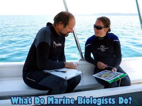What Do Marine Biologists Do Top 30 Marine Biologist Job Duties