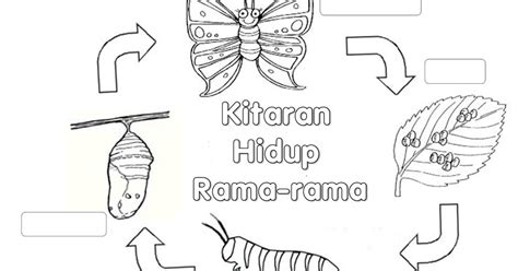 Tugasan 2 semester januari 2. CIKGU EELA (IL) PRESCHOOLERS @ PCE: Kitaran Hidup Rama-rama::