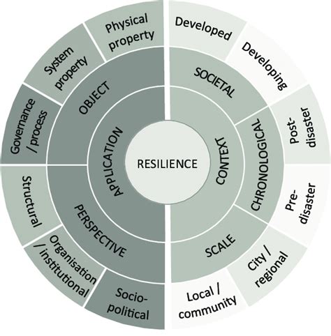 Conceptual Framework Of Resilience In Drm Download Scientific Diagram