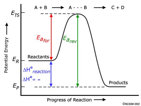 The enthalpy of reaction is the difference in energy between the product(s) (right) and reactant(s) (left).the activation energy of the reverse reaction is just the difference in energy between the product(s) (right) and the transition state (hill). Question #a5da3 | Socratic