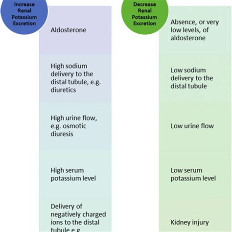Differential Diagnosis Of Hypokalemia Based On Types And Causes Of