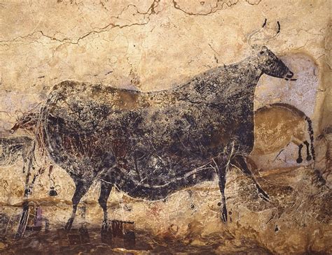 Lascaux France Black Bull Prehistoric Art Paleolithic Art Cave