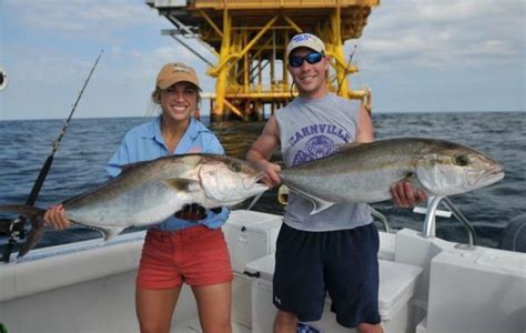 Amberjack Triggerfish Recreational Fishing Seasons Reopen Feds Announce