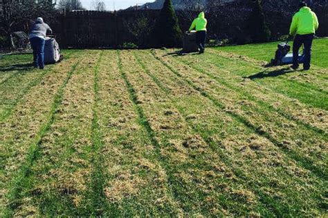 Be your own lawn care expert when you learn to dethatch your lawn correctly. Home and Garden Lawn Care | Lawn Dethatching | Lawn Power Raking