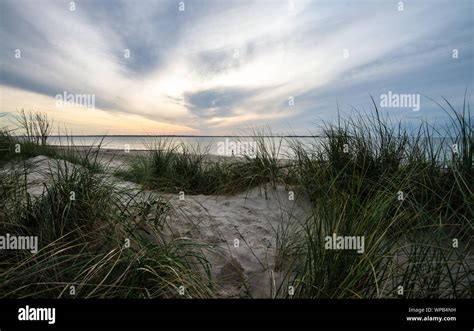 Beach And Coastline Of German North Sea Island Föhr Stock Photo Alamy