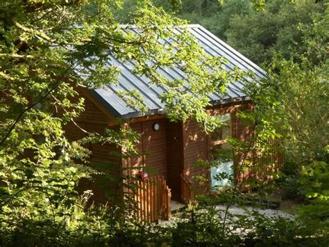 Cabin 11 Picture Of Forest Holidays Deerpark Cornwall Liskeard