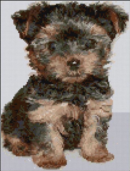 ann logan  patterns onlineyorkshire terrier