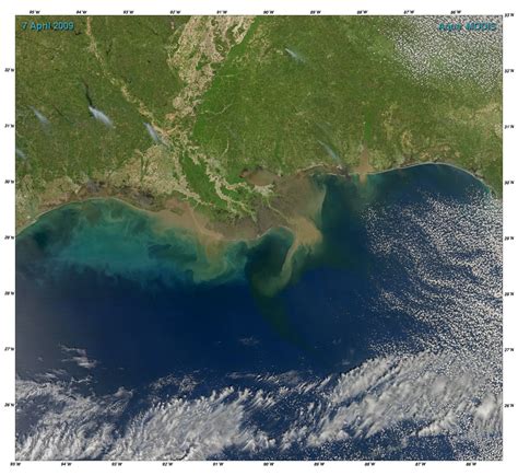 The gulf of mexico area, both onshore and offshore, is one of the most important regions for energy resources gulf of mexico federal offshore oil production accounts for 17% of total u.s. Sediment in the Gulf of Mexico : Image of the Day