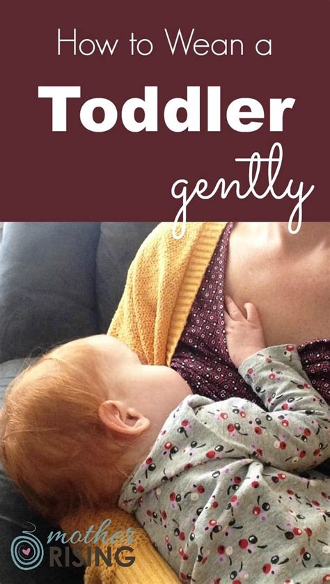 My Experience On How To Wean A Toddler Gently Mother Rising Weaning