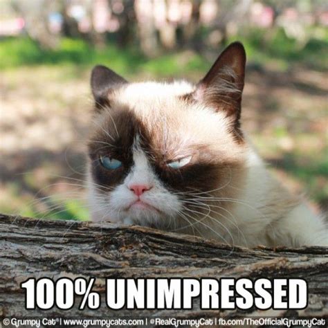 20 Annoyed Memes For When Youre Really Irritated Grumpy Cat Grumpy