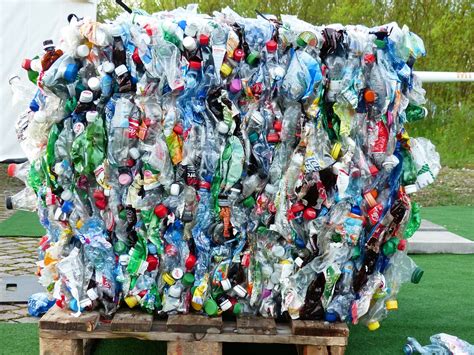 Plastics Human Health And Environmental Impacts The Road Ahead The