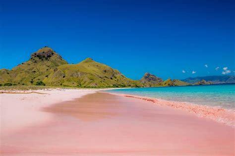 The Most Gorgeous Pink Sand Beaches In The World Reader S Digest